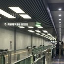 국립전사박물관 | [국립중앙박물관] 화제의 국중박 관람 후기 (서울 가볼만한 곳, 굿즈샵, 인근맛집추천)