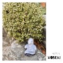 오백샵 이미지
