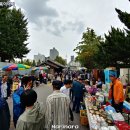 청춘식당 처남 | [서울/마포구] 홍대 기행