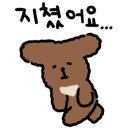진도이비인후과의원 이미지