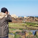 바다스케치 이미지