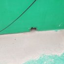 영신경로당 이미지