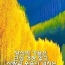 수림결혼정보 이미지