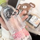 (주)월드애드벤처 | 도쿄 여행과 롯데월드 (240214-0310..)