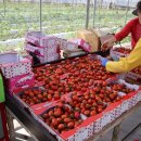 태성2 태양광 발전소 이미지