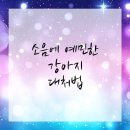 예 동물병원 이미지