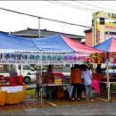 화순불미나리 네이버블로그