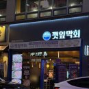 충무공동11 | 진주 혁신도시 맛집, 대방어 출시 충무공동 횟집 깻잎막회 후기