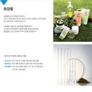 클럽밸런스5세종