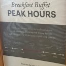 멍멍이 이발관 | 다낭 2일차 앙딱정