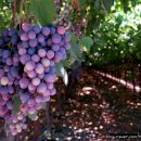 닥터제이미의원 이미지