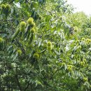 중바위캠핑장 이미지