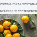 혜자농장 이미지