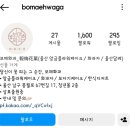 보매화과