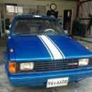 포니카센타 이미지