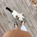 이른아침호숫가 이미지