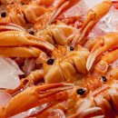 쉬어가는곳 이미지