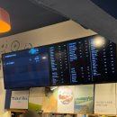 옥상별빛 | 에무시네마 별빛영화제 후기, 꿀팁_종로 이색 데이트 루프탑 영화관