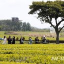 서광리-28 이미지