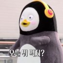 지에스더프레시 목동12점 | 목동 학원가 맛집 코엔타이 목동점 내돈내산 솔직후기