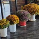 강변주유소 | 뷰가유명한 화양강휴게소 강변뷰 단풍 가을풍경 아름다운 전망좋은 휴게소 잠시 쉰곳 인제방면 화양강랜드