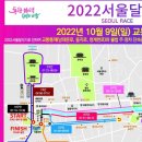 이거~모지? 2022.10 .9 서울레이스 하프 이미지