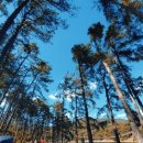 황토마당 이미지