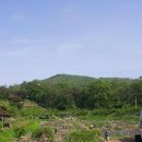 성남농장 이미지