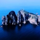 젤미세탁 이미지