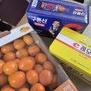 루미나 | [코스트코 쇼핑 추천] 환절기 기력 회복을 위한 필수템 3종!