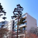 월드스타부동산중개 이미지