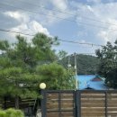 대문농장(2) | 경주 시골 촌캉스 가성비 한옥 숙소 이색편백하우스 내돈내산 후기