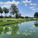 TOP 골프랜드 이미지