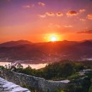 파사성 소나무 이미지