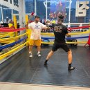 Bee 복싱짐 이미지