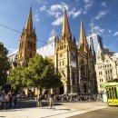 완주힐링로드시티투어 1코스 | 멜버른 5일 여행 코스: 그레이트 오션로드 &amp; 퍼핑빌리 필수 투어 후기