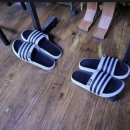 로터리 당구클럽 이미지