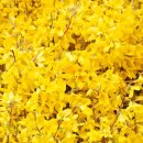 두류공원관리사무소 이미지