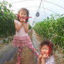 지희농장 이미지