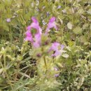 유성농장 이미지