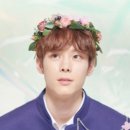 101 세계일보