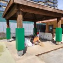 그늘막70 이미지