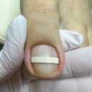 뷰티푸스켓츠 이미지