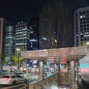 스시마니아 | 선릉 맛집 회식 스시이안앤 초밥