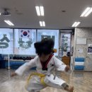 용인대백상태권도 이미지