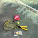 신촌(임고) 이미지