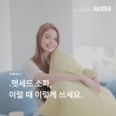 다재다능, 헷세드 소파 이미지