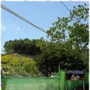 평화농원 | 포천야영장 자연 속 평화, 너우리캠핑농원 후기