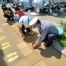 다산초교 이미지