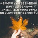 멘트